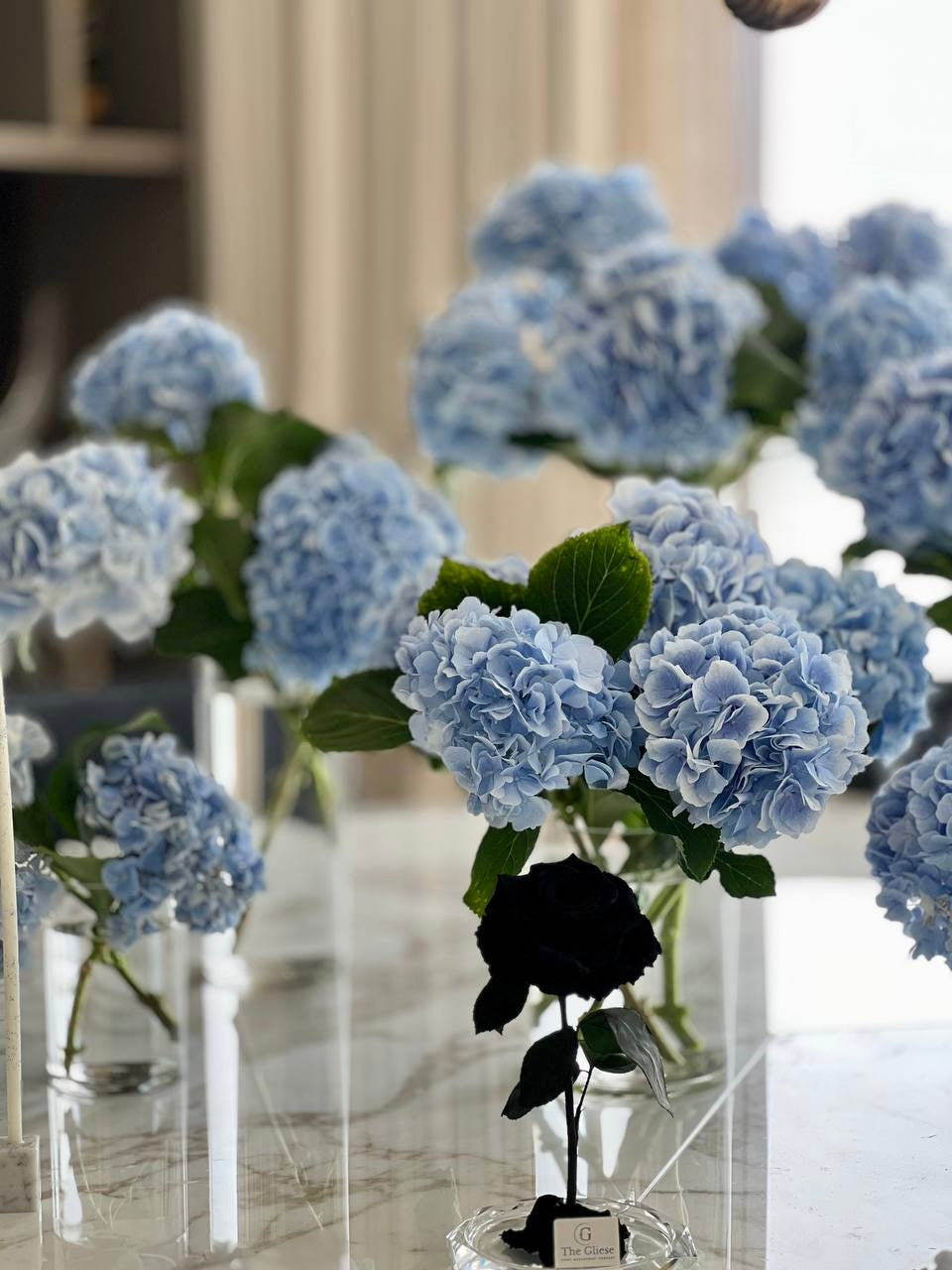 "Exclusive Blue" decor for special event